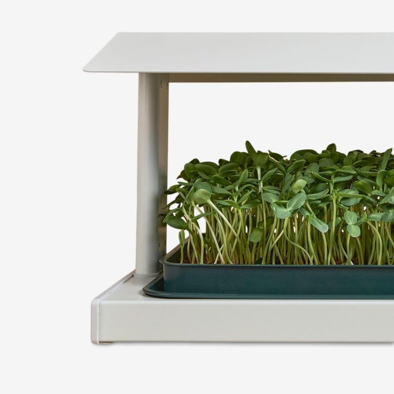 Leath Fieldhouse Seed Starter Tray | Indoor Herb Garden Greenhouse Kit with LED Grow Lights | Microgreen Growing System | Seedling Plant Starter Trays | Home Organic Gardening System (White) - Image 4