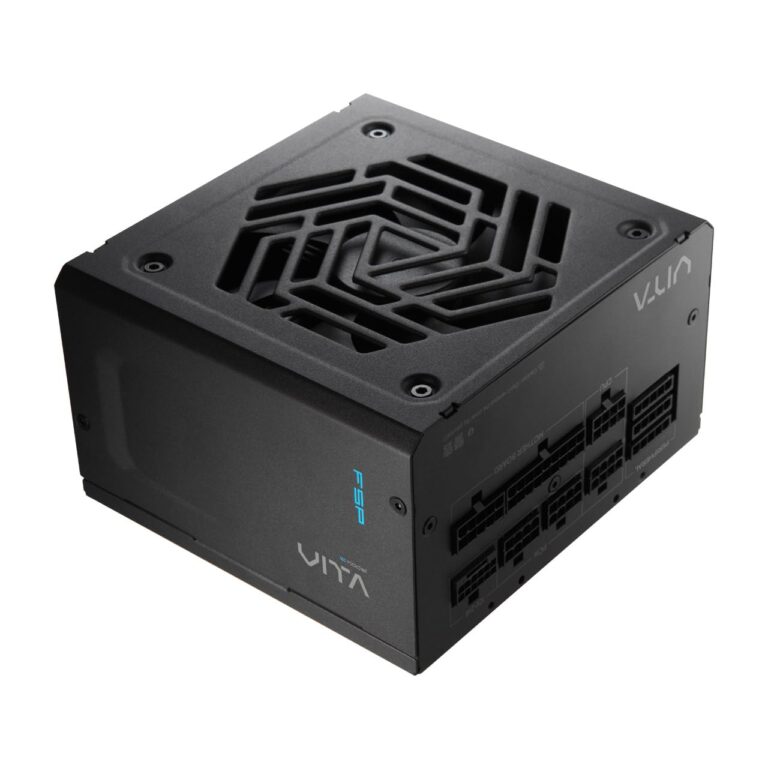 FSP VITA GM 850W Power Supply, 80 Plus Gold, ATX 3.1/PCIe 5.1, Full Modular (VITA-850GM)