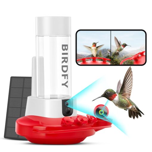 NETVUE by Birdfy Hummingbird Feeder with 2 Cameras Solar Powered - Dual Smart Cams, 2K HD Wireless for 2 Angels Close-up Bird Watching Outdoor, Instant Notifications (20Oz) (Hum Duo AI Solar)