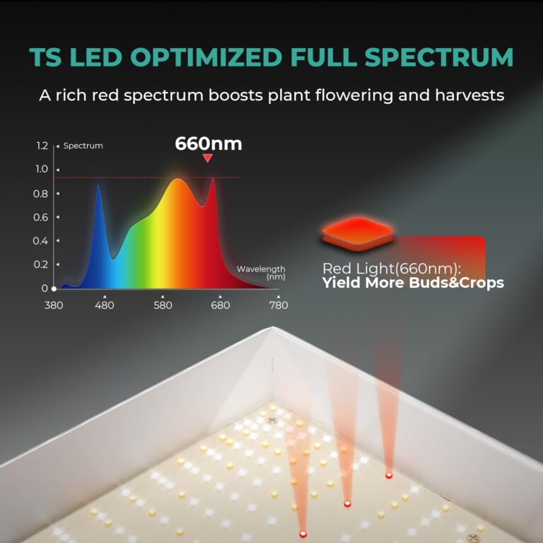 MARS HYDRO 3x3 Grow Tent (36"x36"x71") & 300 Watt TSW2000 LED Grow Light Combo Kit, Indoor Plant Growing Set, Maximizes Plant Yield in Hydroponics or Indoor Gardening - Image 5