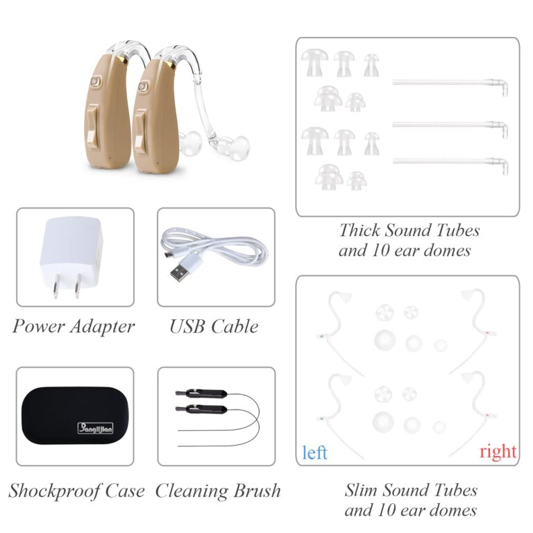 Banglijian Hearing Aid Rechargeable Ziv-201 Digital Noise Reduction and Feedback Cancellation Small Size (Two Units) - Image 2