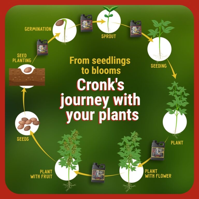 Cronk Nutrients Bonnie & Clyde Autoflower Nutrients Bloom and Grow – Yield Increasing Autoflower Plants Nutrient Kit – Easy to Use Plant Food – Optimal Formula for Optimal Results, 4L - Image 5