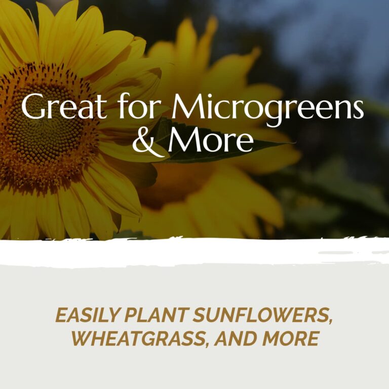 Chanvra Grow Microgreens Growing Mat, Natural Hemp Mats for Growing Sprouting Kits, Hydroponic Hemp Pads, Hemp Grow Mat for Wheatgrass, Sunflower & More, Microgreen Mat, 10x20" (100) - Image 4