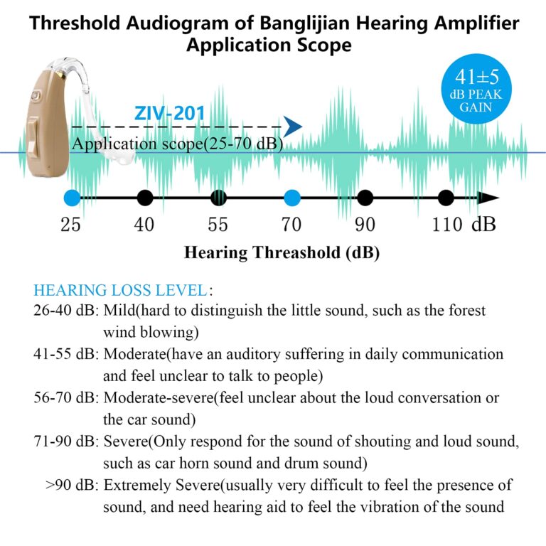 Banglijian Hearing Aid Rechargeable Ziv-201 Digital Noise Reduction and Feedback Cancellation Small Size (Two Units) - Image 4