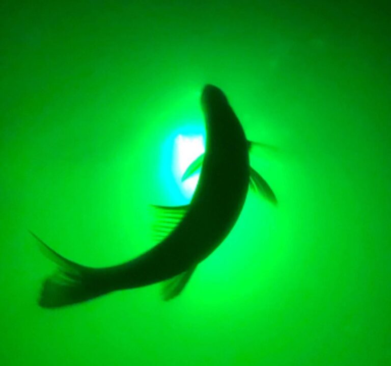 New Underwater Dock Fishing Light 110V with Extra Long 50ft Cord, 7500 Lumens, Made in Texas - Image 5