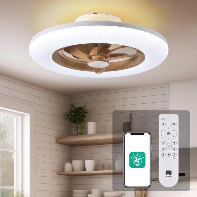 Orison Ceiling Fan with Light - Modern Flush Mount Enclosed Ceiling Fan 22.4" LED Dimmable Bladeless Ceiling Fans with Remote Control,Smart 3 Light Color and 6 speeds 7 Blades