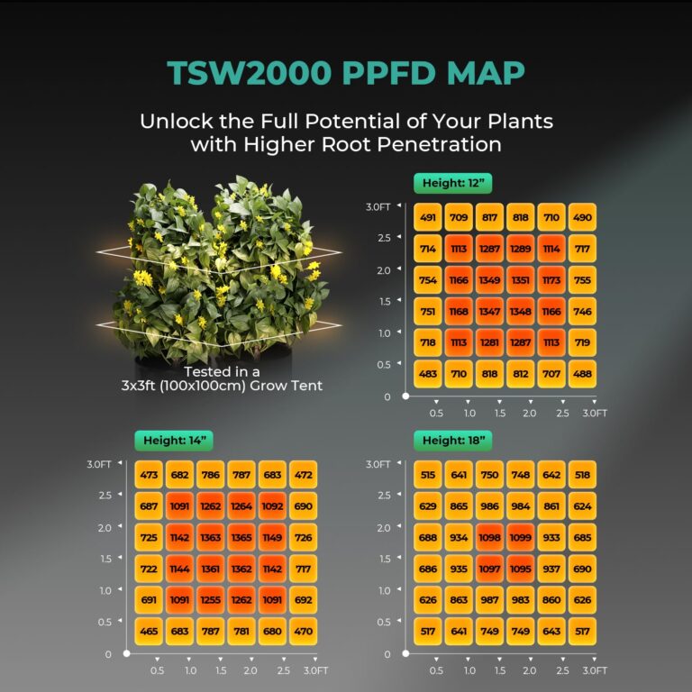 MARS HYDRO 3x3 Grow Tent (36"x36"x71") & 300 Watt TSW2000 LED Grow Light Combo Kit, Indoor Plant Growing Set, Maximizes Plant Yield in Hydroponics or Indoor Gardening - Image 4