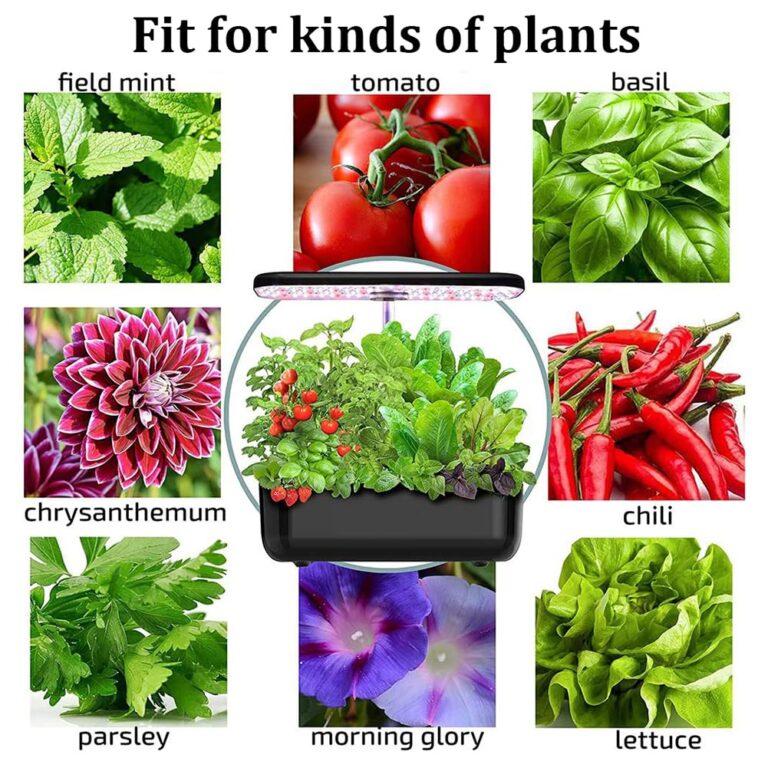 QAZWSXED Hydroponics Growing System, 12 Pods Indoor Herb Garden with Grow Light, Smart Garden Germination Kit, Automatic Timer & Height Adjustable, for Home Kitchen Gardening White - Image 5