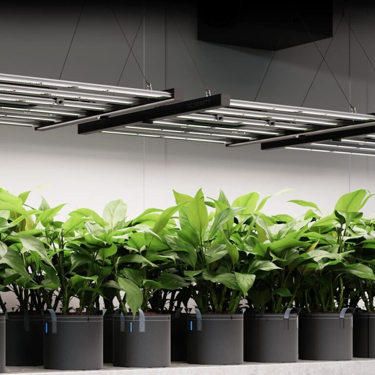 AC Infinity IONFRAME EVO3, Samsung LM301H EVO Bar LED Grow Light 2x4, 840 Diodes, with Schedule Controller, 280W Full-Spectrum Commercial Plant Lights for Indoor Growing in Grow Rooms & Greenhouses - Image 2