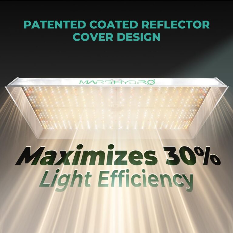 MARS HYDRO 3x3 Grow Tent (36"x36"x71") & 300 Watt TSW2000 LED Grow Light Combo Kit, Indoor Plant Growing Set, Maximizes Plant Yield in Hydroponics or Indoor Gardening - Image 2
