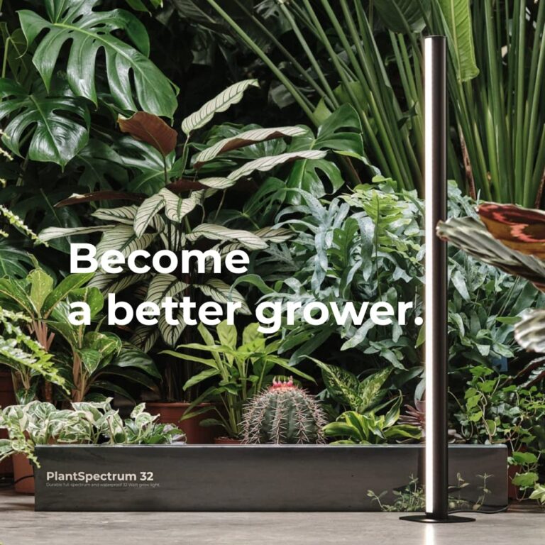 MOTHER PlantSpectrum32 I Professional Grow Light 32Watt | for All Plants & Growth Stages - Image 9