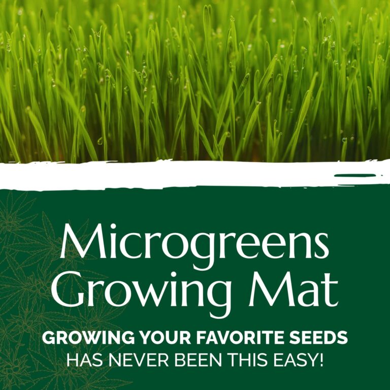 Chanvra Grow Microgreens Growing Mat, Natural Hemp Mats for Growing Sprouting Kits, Hydroponic Hemp Pads, Hemp Grow Mat for Wheatgrass, Sunflower & More, Microgreen Mat, 10x20" (100) - Image 7