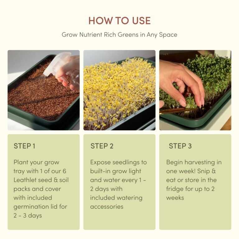 Leath Fieldhouse Seed Starter Tray | Indoor Herb Garden Greenhouse Kit with LED Grow Lights | Microgreen Growing System | Seedling Plant Starter Trays | Home Organic Gardening System (White) - Image 7