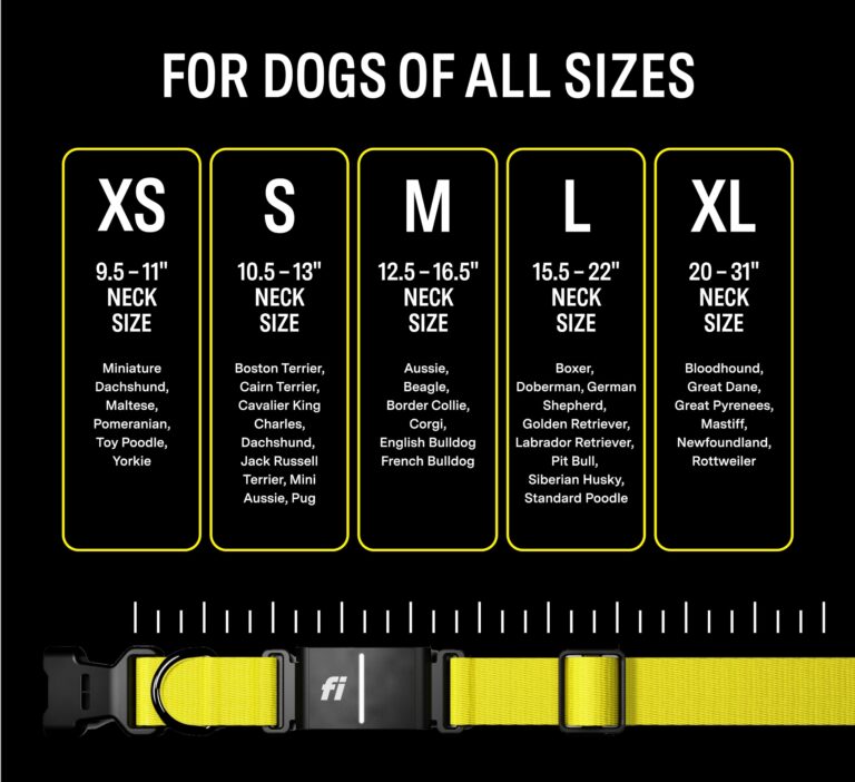 Fi Series 3 Smart Dog Collar - GPS Dog Tracker and Activity & Health Monitor, Waterproof, LED Light, Escape Alerts, Nationwide Coverage [Free 1 Year Membership] (Yellow, X Large) - Image 4