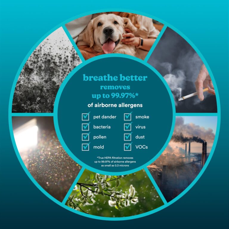 Homedics Smart Air Purifier 4-in-1 Tower for Large Rooms, Up To 1570 sq ft, True HEPA Filtration, UV-C Technology, Activated Carbon Odor Filter, Reduces Bacteria, Virus, VOCs, Wi-Fi and Voice Control - Image 6
