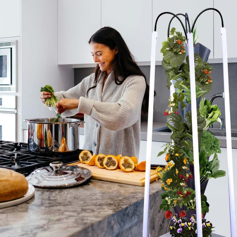 Hydroponic Growing System with Grow Lights, Indoor Gardening System, Grow Plant Food at Home with 40 Pieces at a time for Fruits, Vegetables, Herbs, and Miniature Greens (No Seedlings Included) - Image 3