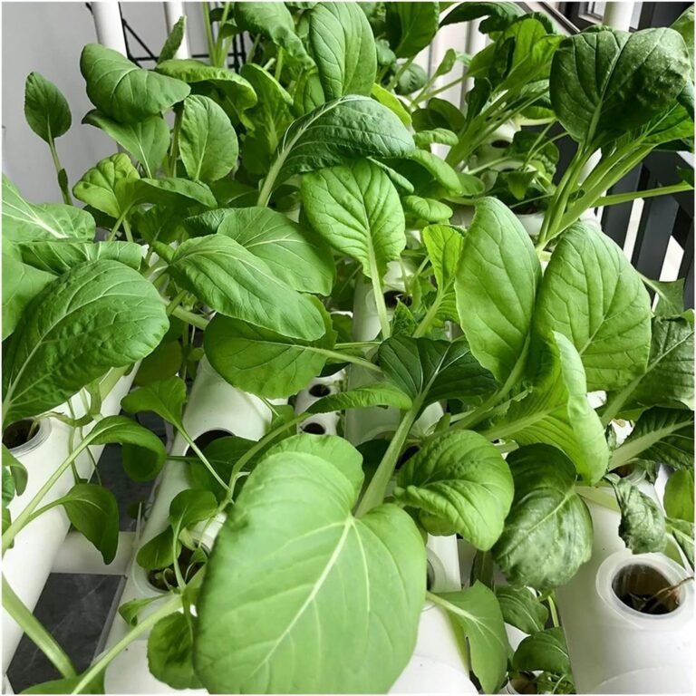 Hydroponics Growing System Hydroponic Grow Kit, 36 Holes Pipe Grow Kit Indoor Greenhouse Planting Box Gardening System Nursery Pot Hydroponic Rack Hydroponic Tower - Image 5
