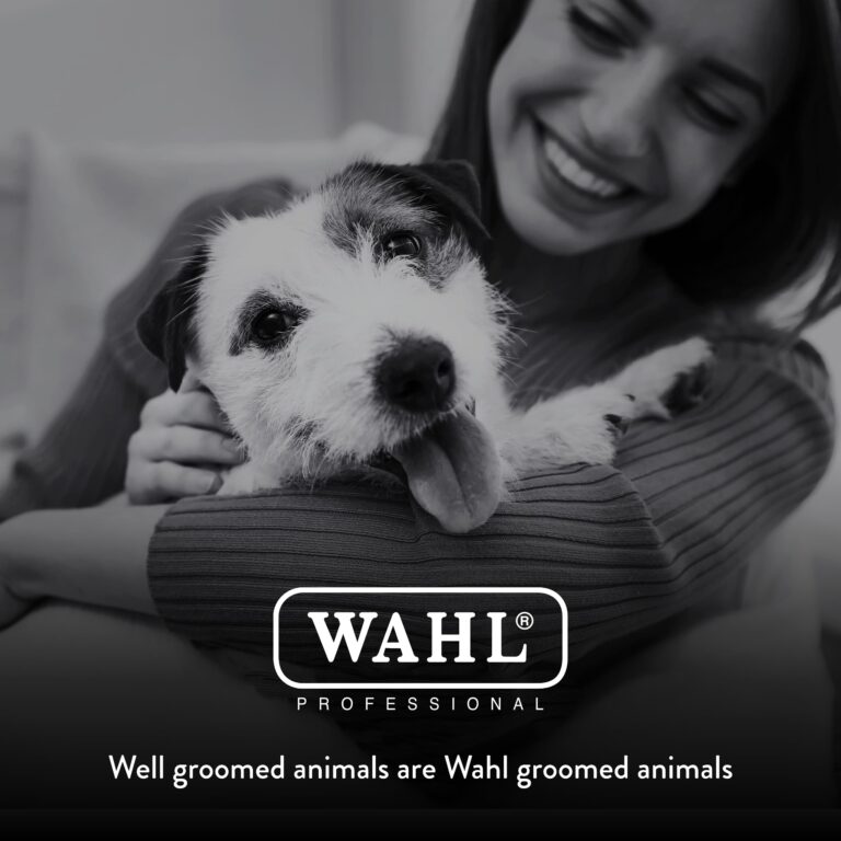 WAHL Professional Animal Bravura Lithium Ion Clipper - Pet, Dog, Cat, and Horse Corded / Cordless Clipper Kit, Turquoise (41870-0438) - Image 4