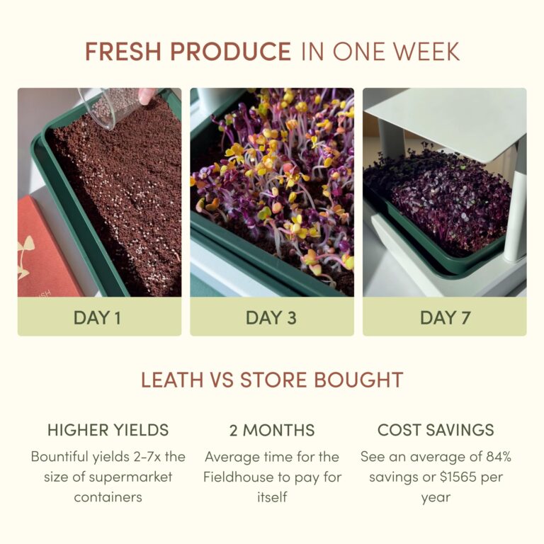 Leath Fieldhouse Seed Starter Tray | Indoor Herb Garden Greenhouse Kit with LED Grow Lights | Microgreen Growing System | Seedling Plant Starter Trays | Home Organic Gardening System (White) - Image 5