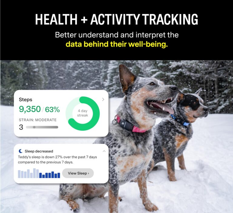 Fi Series 3 Smart Dog Collar - GPS Dog Tracker and Activity & Health Monitor, Waterproof, LED Light, Escape Alerts, Nationwide Coverage [Free 1 Year Membership] (Yellow, X Large) - Image 5