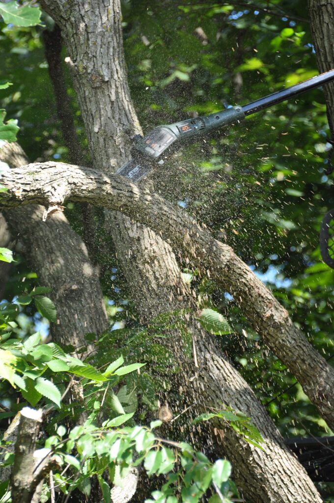 Hooyman Cordless 40 Volt Pole Saw with In-Line 8in Saw, Auto-Oiler, 40V Battery with Charge Indicator, Ergonomic Grip, and Carry Case for Cutting, Tree Trimming, Hunting, Camping, and Outdoors - Image 2