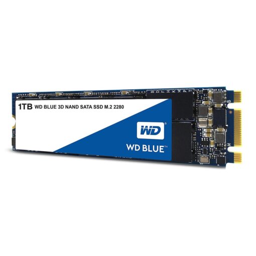 Western Digital 1TB WD Blue 3D NAND Internal PC SSD - SATA III 6 Gb/s, M.2 2280, Up to 560 MB/s - WDS100T2B0B