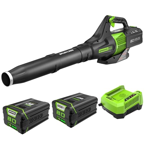 Greenworks Pro 80V (145 MPH / 580 CFM) Brushless Cordless Axial Leaf Blower, 2.5Ah Battery and Charger Included BL80L2510 & PRO 80V 2.0Ah Lithium-Ion Battery (Genuine Battery)